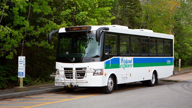 Large white bus with blue and white stripes parked next to a curb in front of dense shrubbery