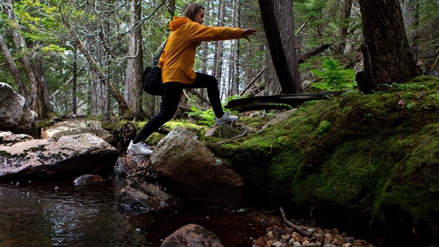 Person in yellow jacket jumping between rocks through forested area