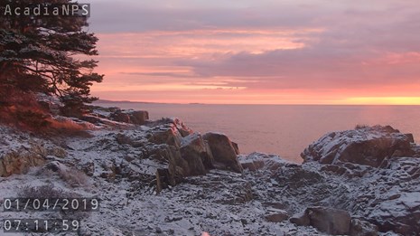Screen capture of webcam view of a webcam showing a sunrise along a rocky coast