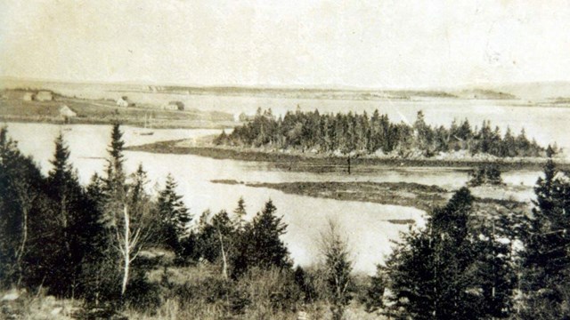 B&W photo of tree covered island and water, distant penninsula