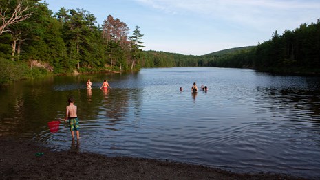 People swimming and standing on a beach at a lake