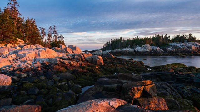 A coastline at sunset with pink coloring on the granite
