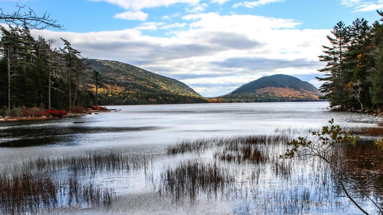 Lake surrounded by forest and small mountains