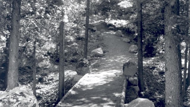 Wooden directional sign pointing in different directions