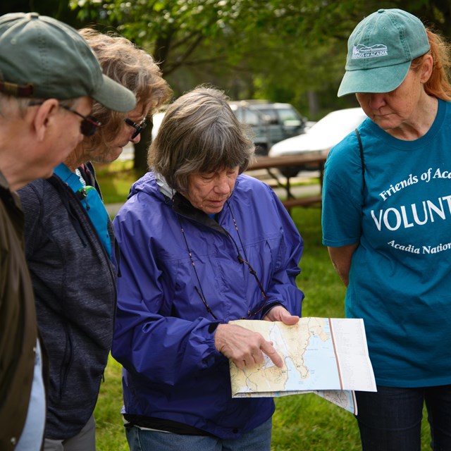 Volunteers huddle together to point to a map and figure out where they are headed in the park.