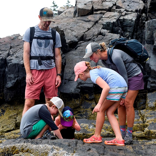 Two adults and three children lean down to look into a hole in dark coastal rocks