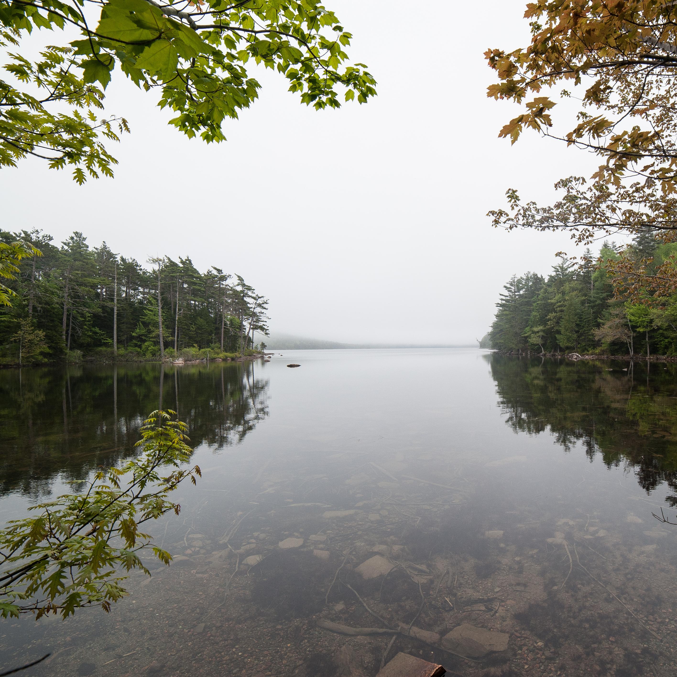 A lake surrounded by trees with an overcast sky