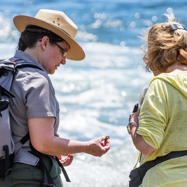 Ranger holding a small creature from a tide pool speaks with visitor