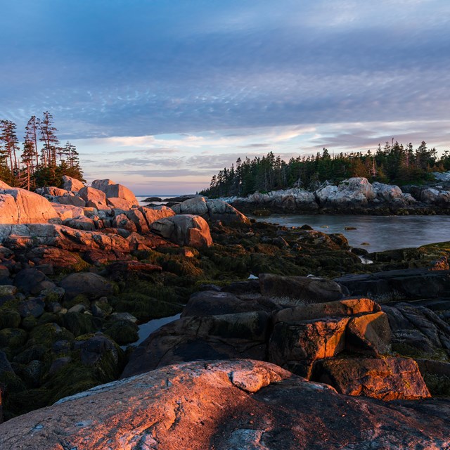 A coastline at sunset with pink coloring on the granite