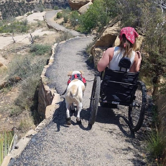 A woman hiking in her wheelchair with her service animal by her side. 