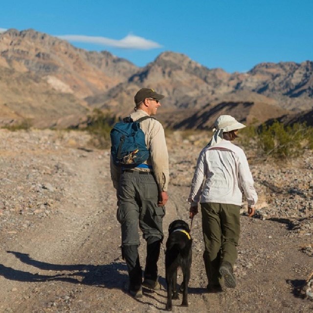 two people walking the desert with their service animal 
