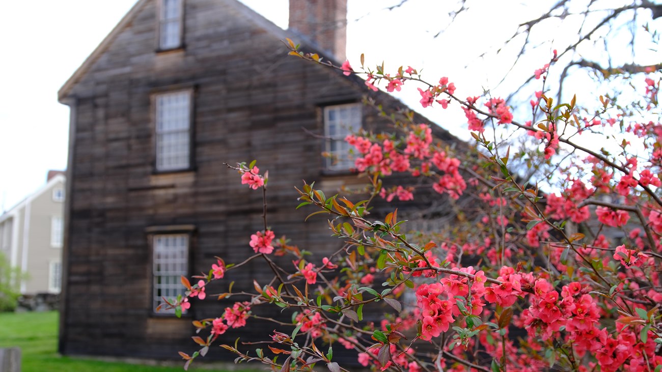 brightly colored flowers bloom in front of a historic 2-story wooden home