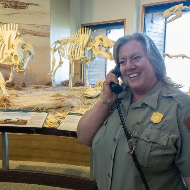 Ranger in uniform holding a telephone in front of fossil exhibits