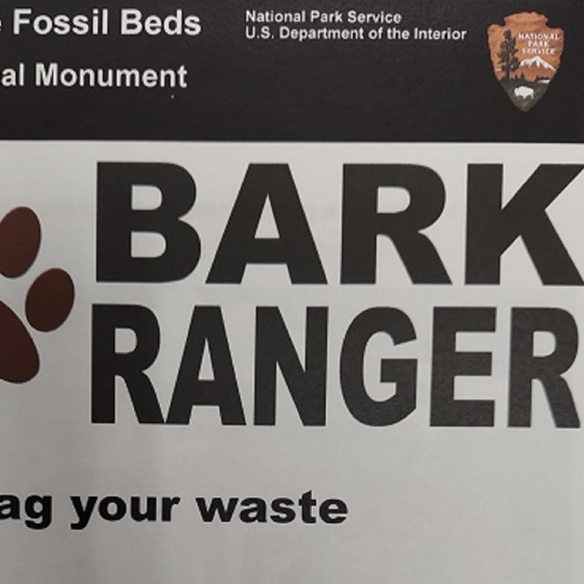 Text reads Bark Ranger with a phrase after each initial in the word BARK.