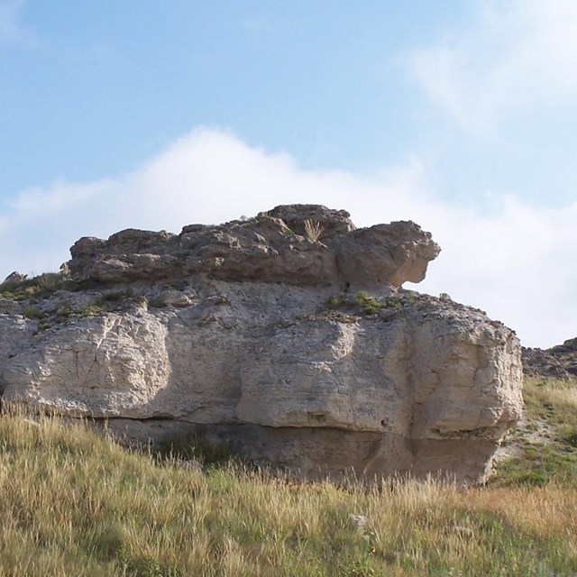 A smaller boulder mimics the outcrops of a larger boulder within mowed green grass.