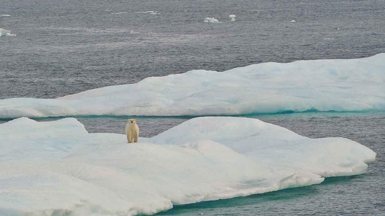 A polar bear on a chunk of ice in the Beaufort Sea.