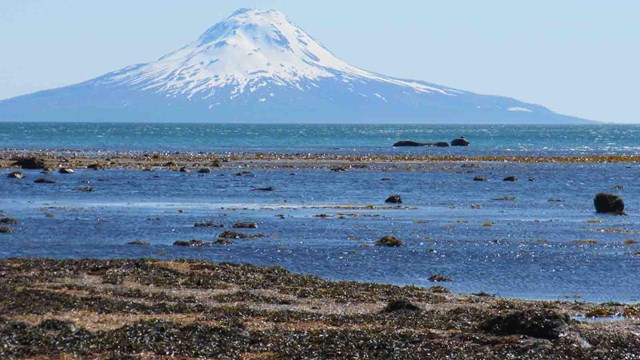 coastal and marine habitats