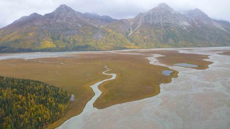 Coastal soils in Lake Clark
