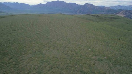 An aerial view of thermokarst landscape.