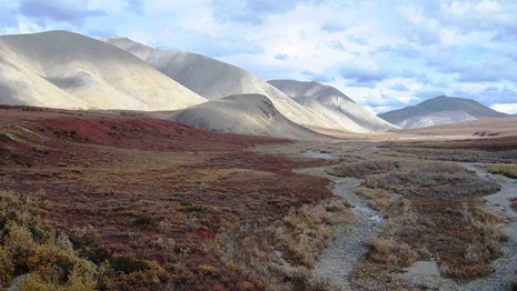 An Arctic landscape in Noatak.