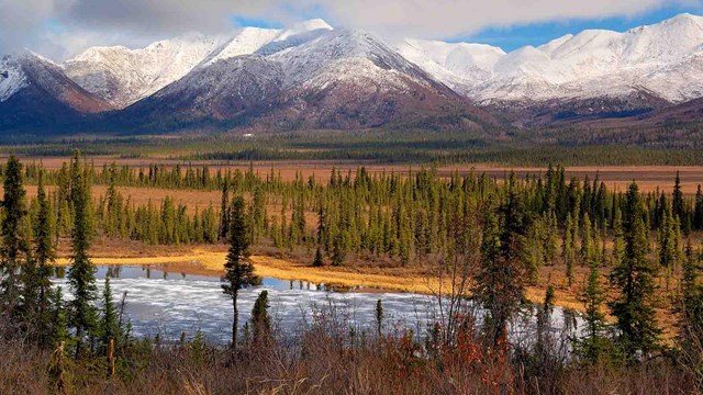 Wilderness in Alaska's Wrangell-St Elias National Park.