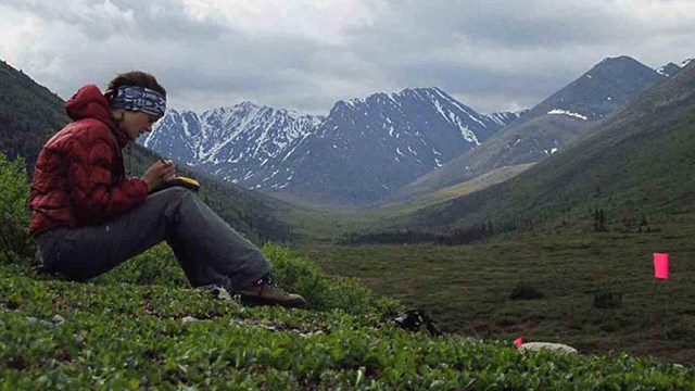 An archaeologist takes notes at a dig high in the Brooks Range.