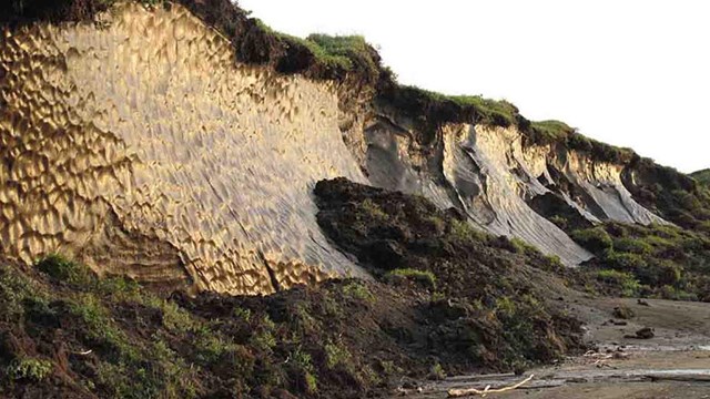 Exposed yedoma permafrost along an eroding coastline.