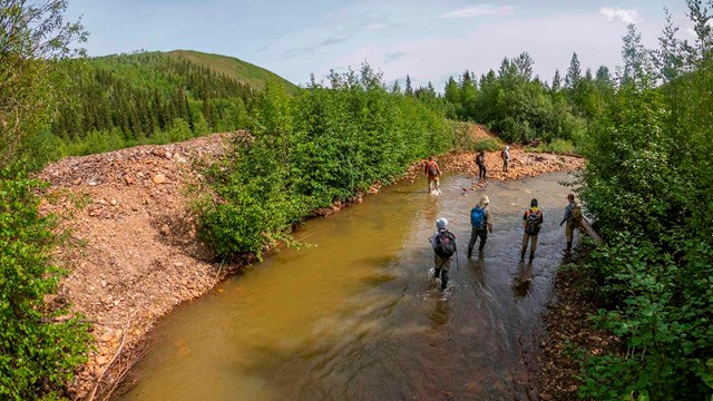 Scientists walk down the center of a stream.