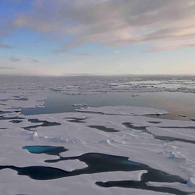 Aerial image of sea ice with melted pools.