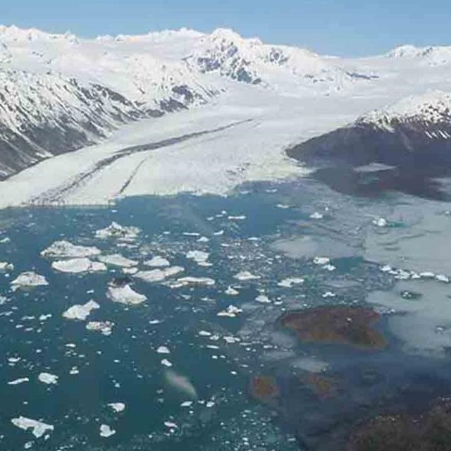 Tidewater glacier