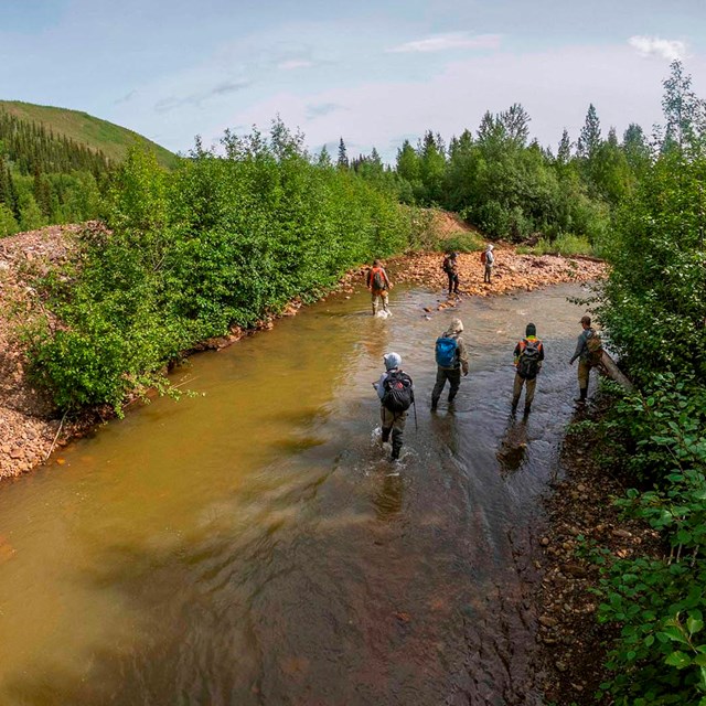 Scientists walk down the center of a stream.