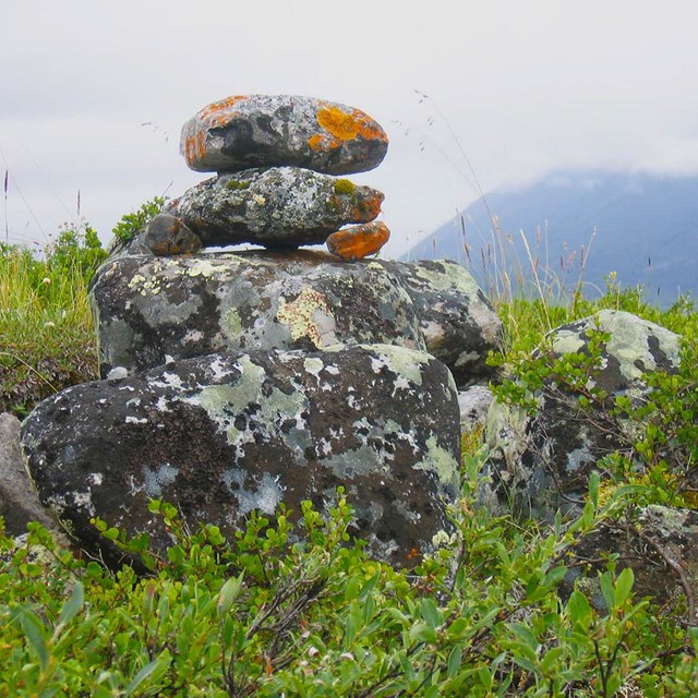 A rock cairn with lichens and mosses on it.