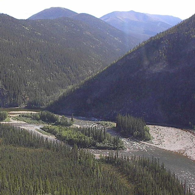 Forested mountains and a braided river.