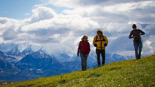three hikers walk in the mountains in Denali National Park