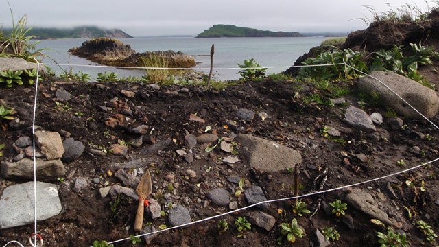 An archaeological excavation unit, a trowel on the ground, and the ocean and islets on the horizon.