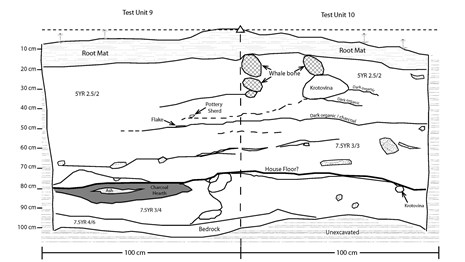 A drawing of stratigraphy seen from the inside of an archaeological excavation.