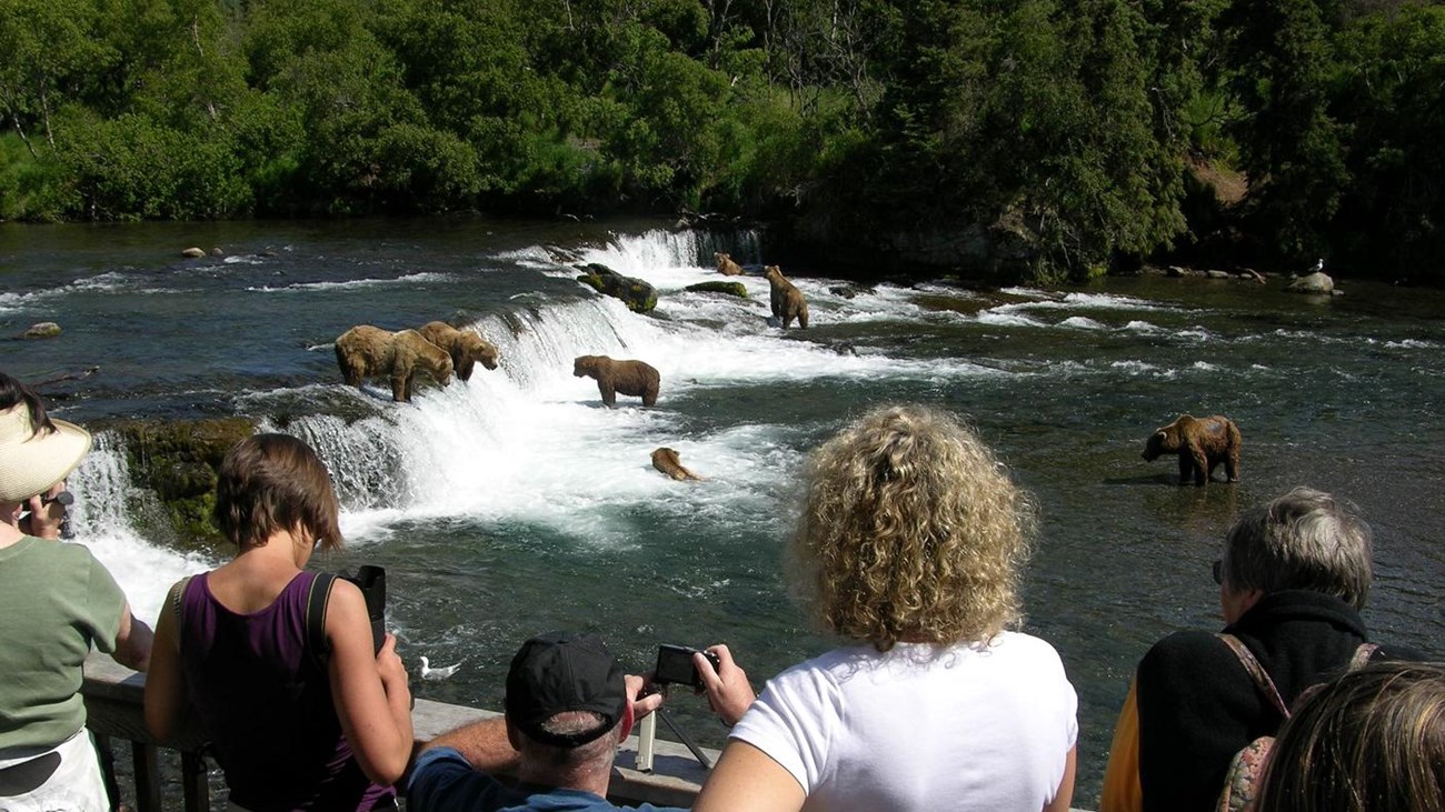 Viewing platform visitors watch bears fishing at Brooks Falls, Katmai National Park & Preserve