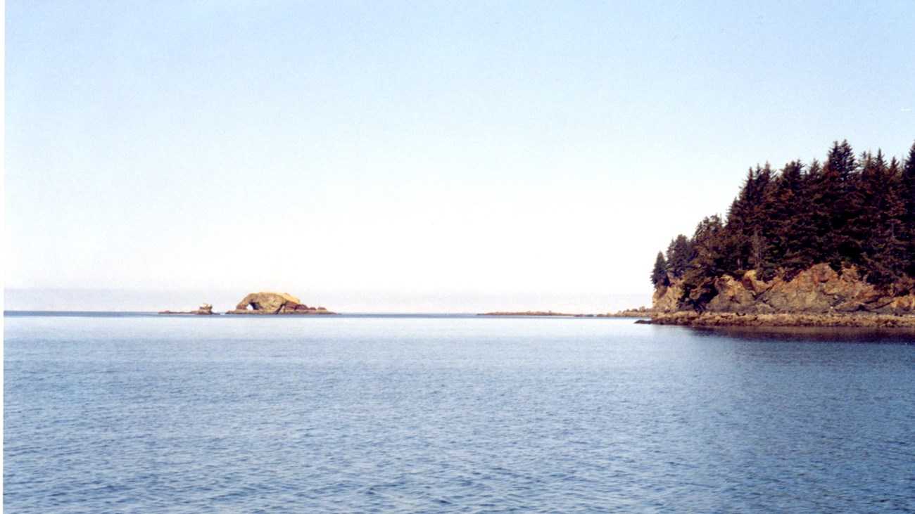 water and two small islands with trees on them