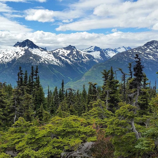 view of trees and snow-capped mountain peaks on the Chilkoot trail