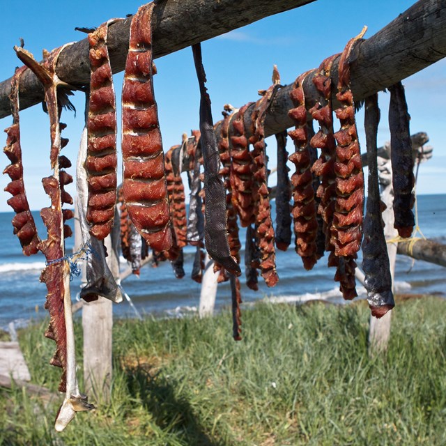 Fish hanging on a rack drying