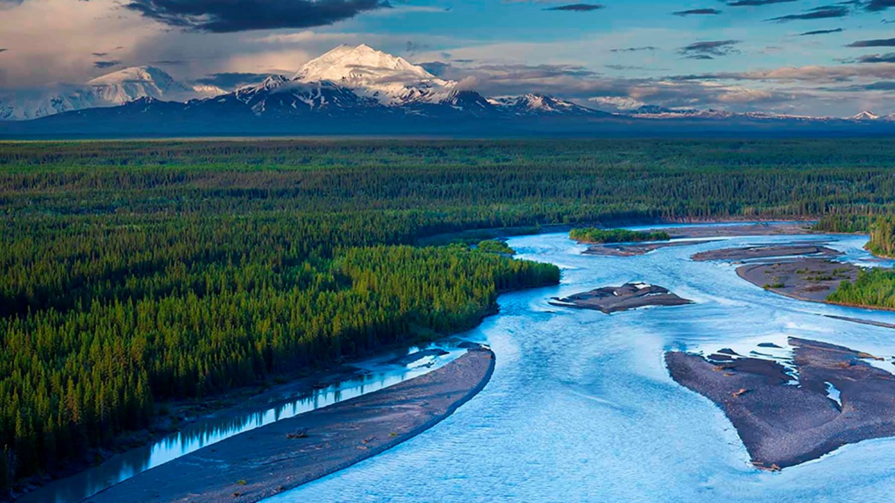 A blue river runs through forest.