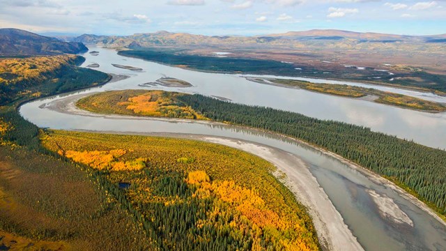A large river with fall colors in riparian forest.