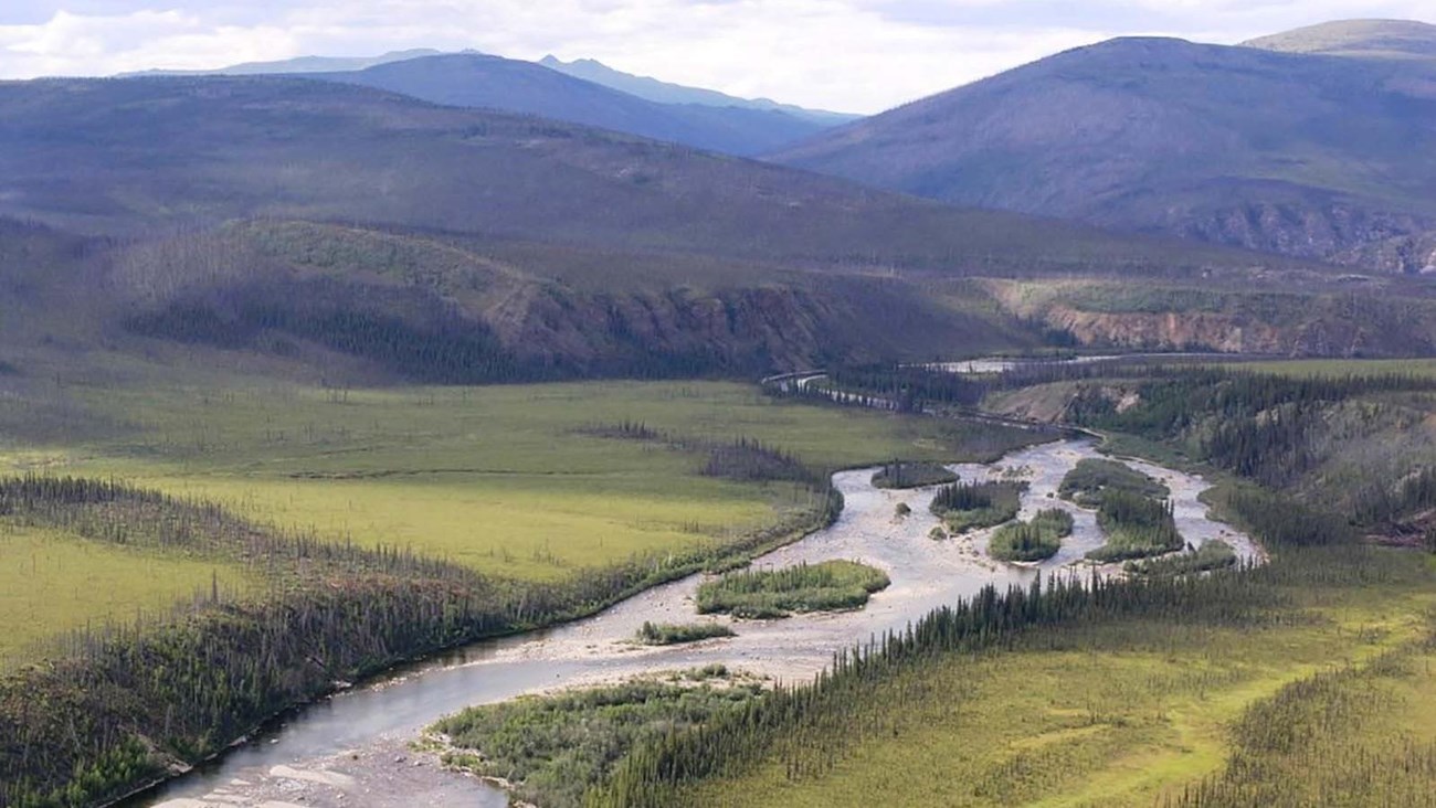 A river runs through a forested area.