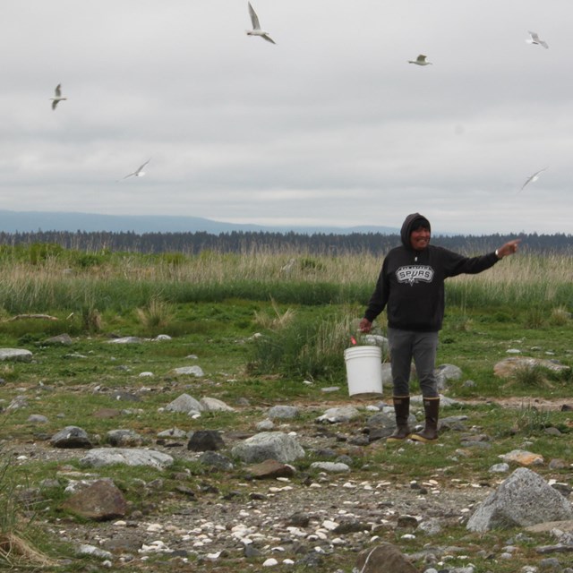 A gull egg harvester on the coast.