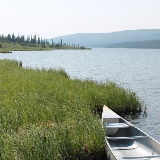 A canoe noses into the bank along a river.