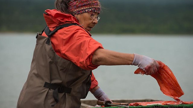 A woman prepares salmon for drying