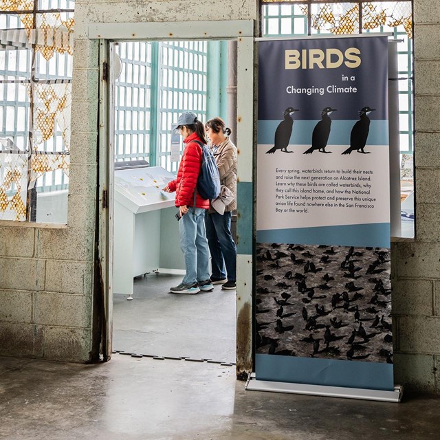 Birds in a Changing Climate