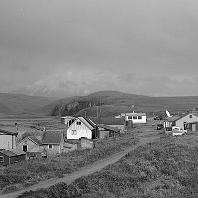 a historic scene of white wooden buildings long a coastal dirt road.