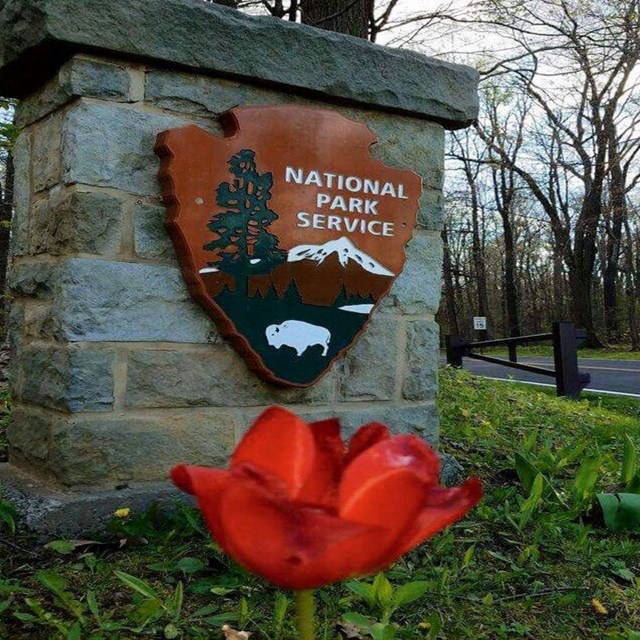 A picture of the NPS logo with a flower.