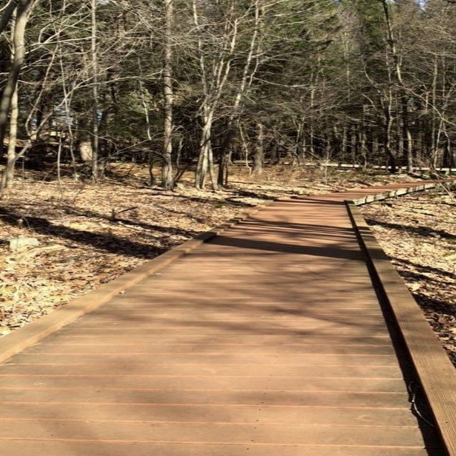 Boardwalk in the park.